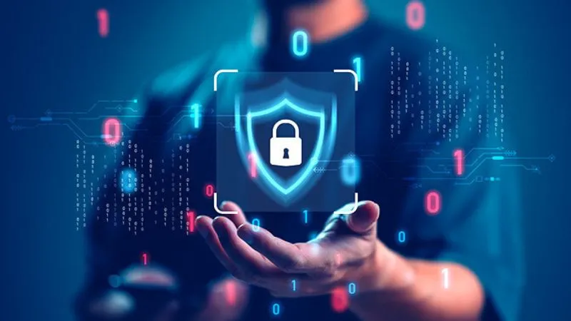 Tuân thủ pháp luật